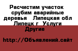 Расчистим участок, срубим аварийные деревья - Липецкая обл., Липецк г. Услуги » Другие   